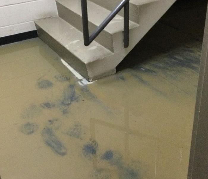 Concrete stairwell with muddy water on the floor